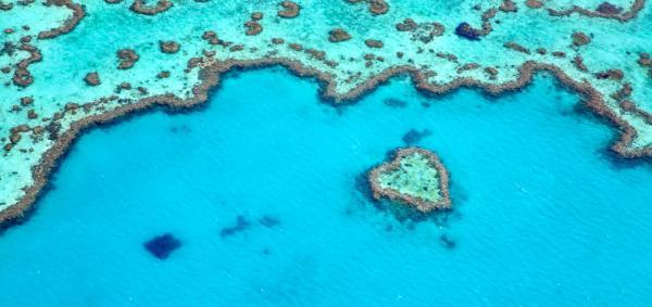 حیات در لبه جهان: کاوش در شگفتی های بقا در دورافتاده ترین نقاط زمین حیات در لبه جهان: کاوش در شگفتی های بقا در دورافتاده ترین نقاط زمین